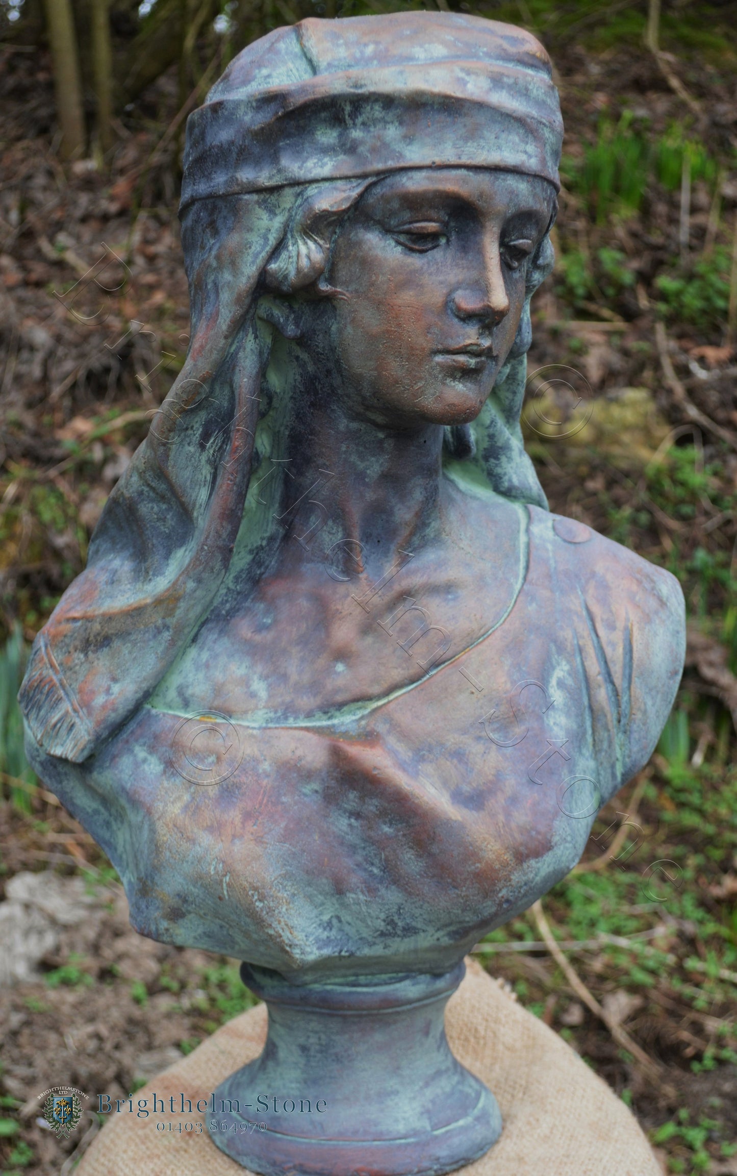 Arabian Bust