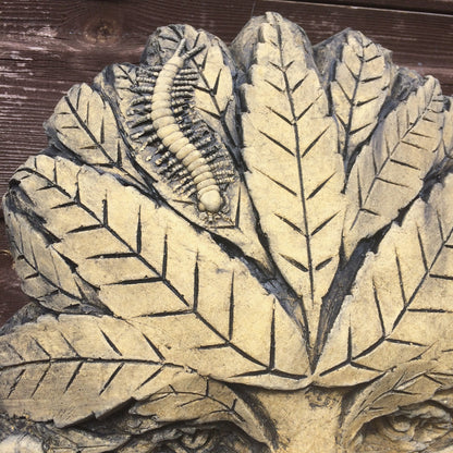 Ash Green Man Plaque