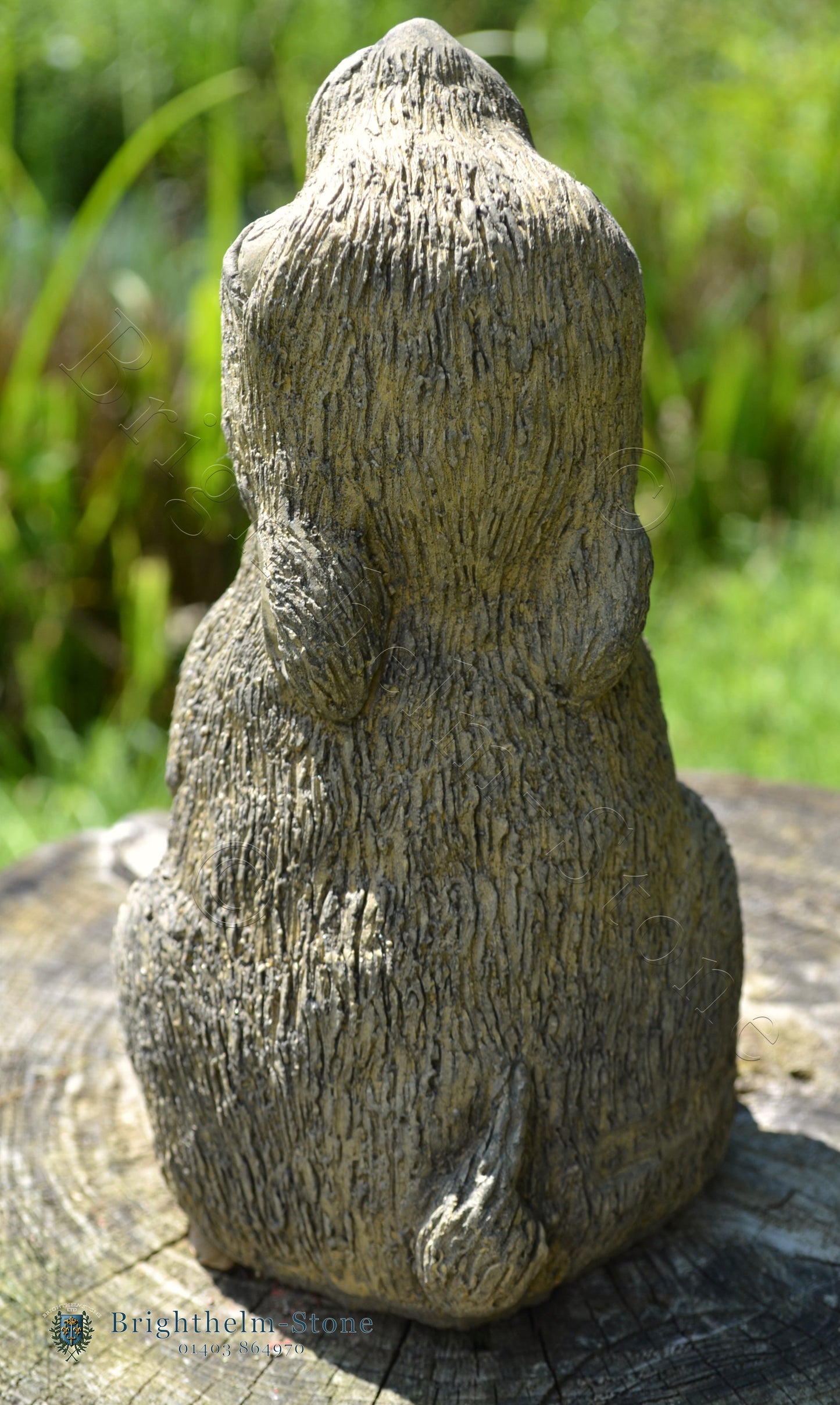 Baby Moon Gazing Hare