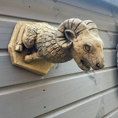 Bourges Ram Gargoyle
