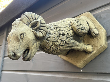 Bourges Ram Gargoyle