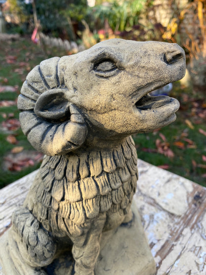Bourges Ram Gargoyle