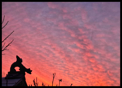 Small Brighton Dragon Angled Roof Finial