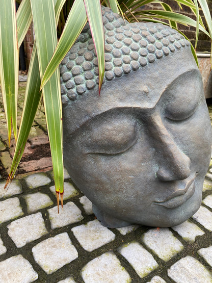 Buddha Head Statue