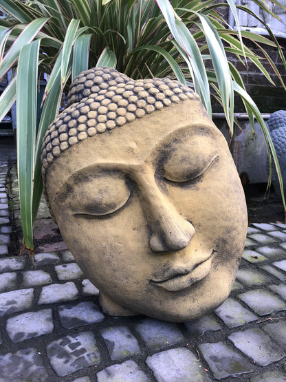 Buddha Head Statue