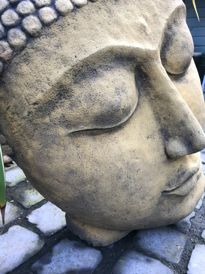Buddha Head Statue