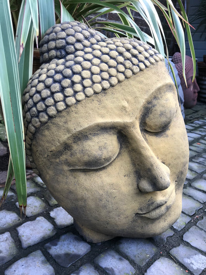 Buddha Head Statue