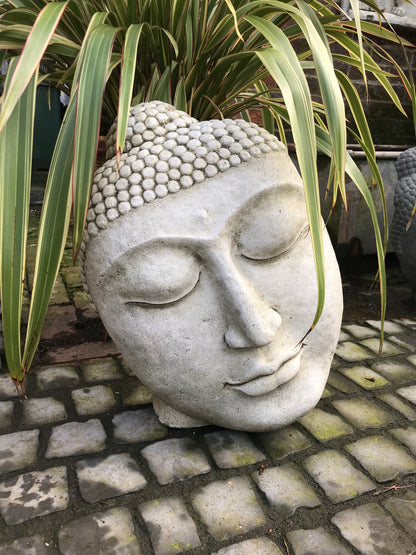 Buddha Head Statue