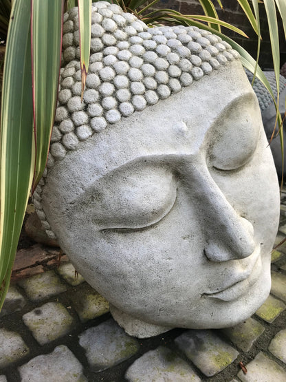 Buddha Head Statue