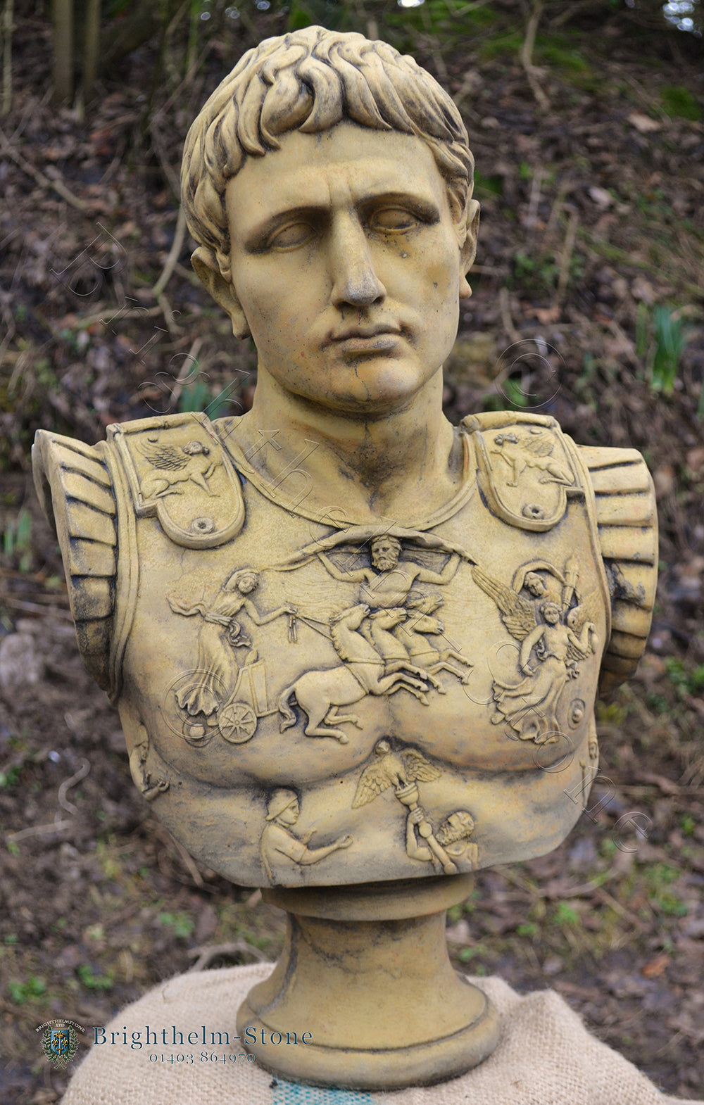 Caesar Bust