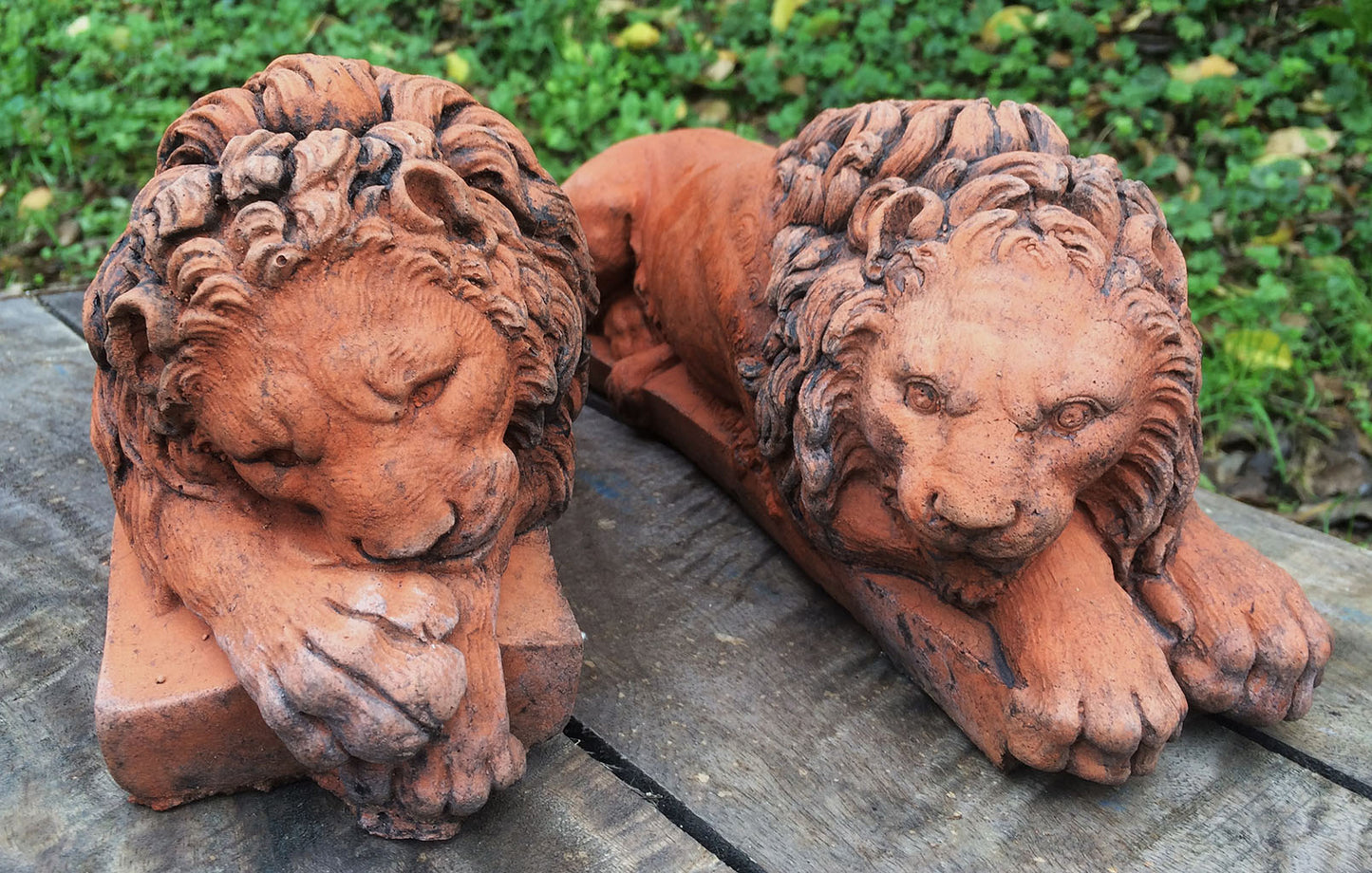 Canova Pair of Lion ornaments