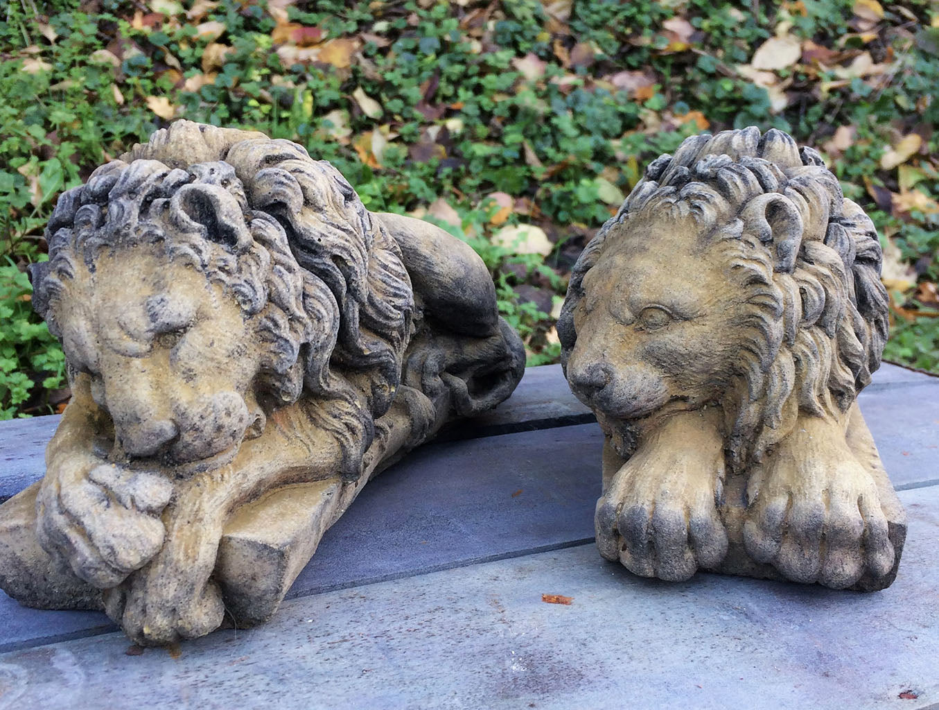 Canova Pair of Lion ornaments