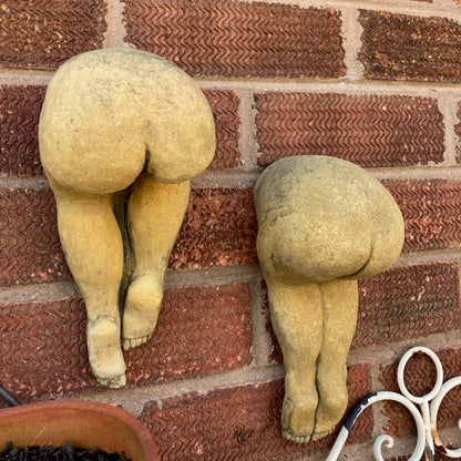 Large Bottoms Pair