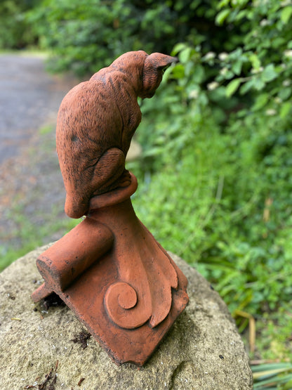 Curious Cat Angled Roof Finial