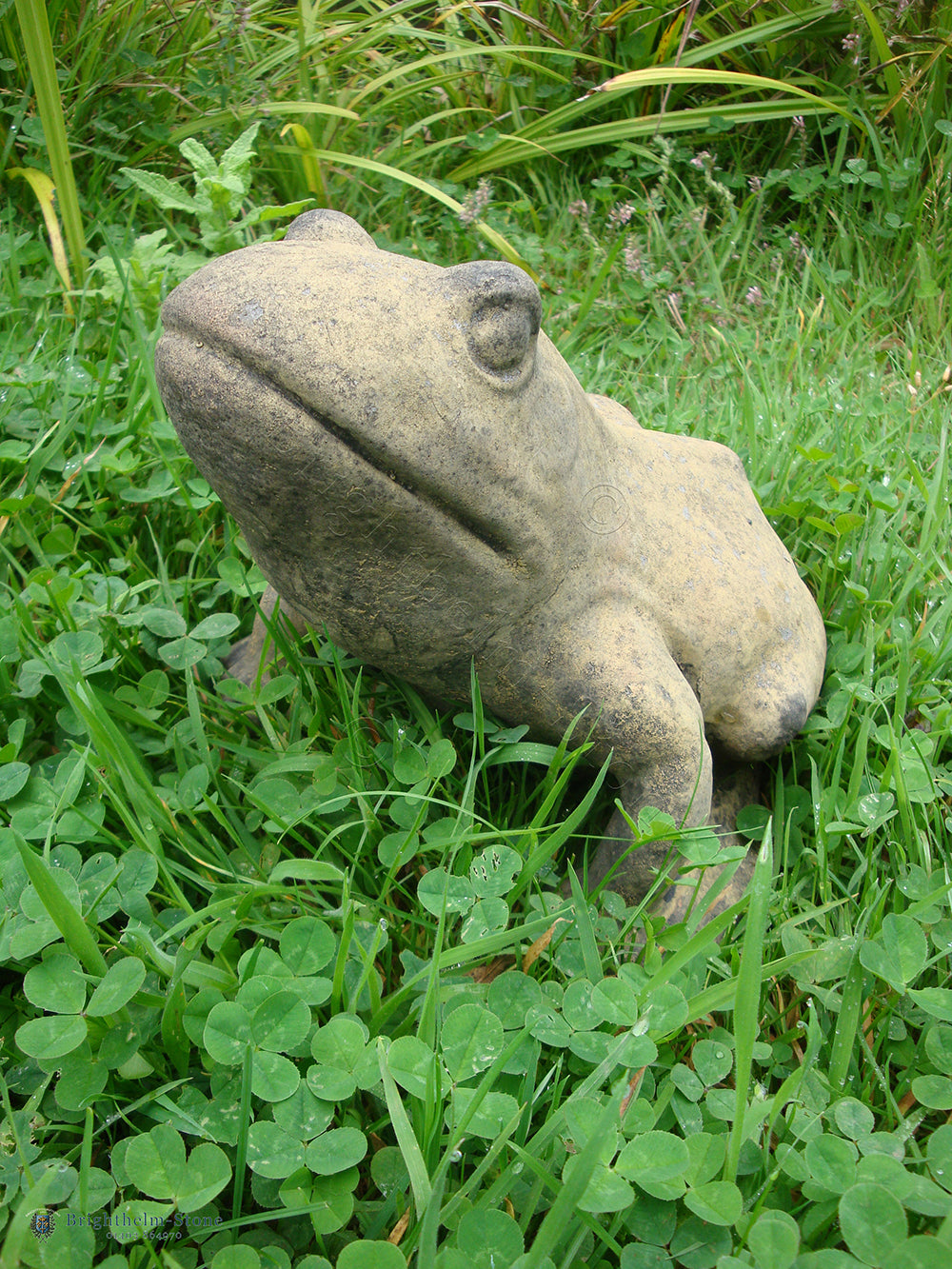 Frog Statue