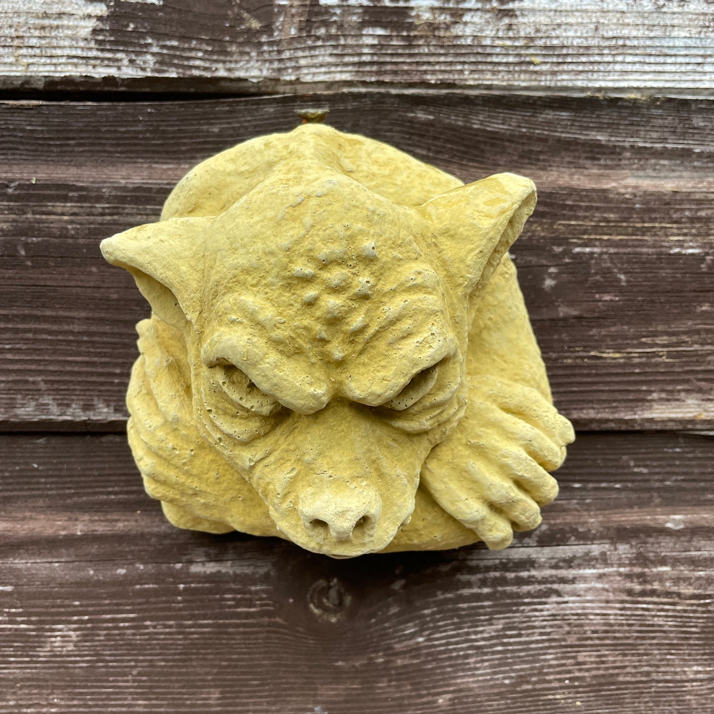 Gargoyle Face