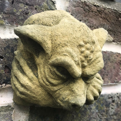 Gargoyle Face