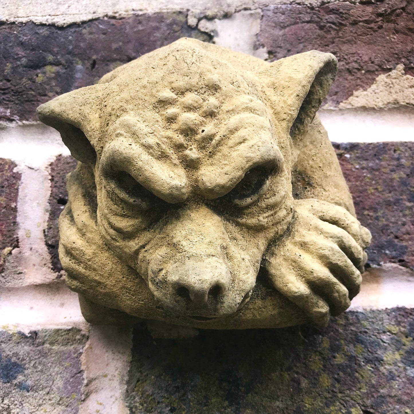 Gargoyle Face