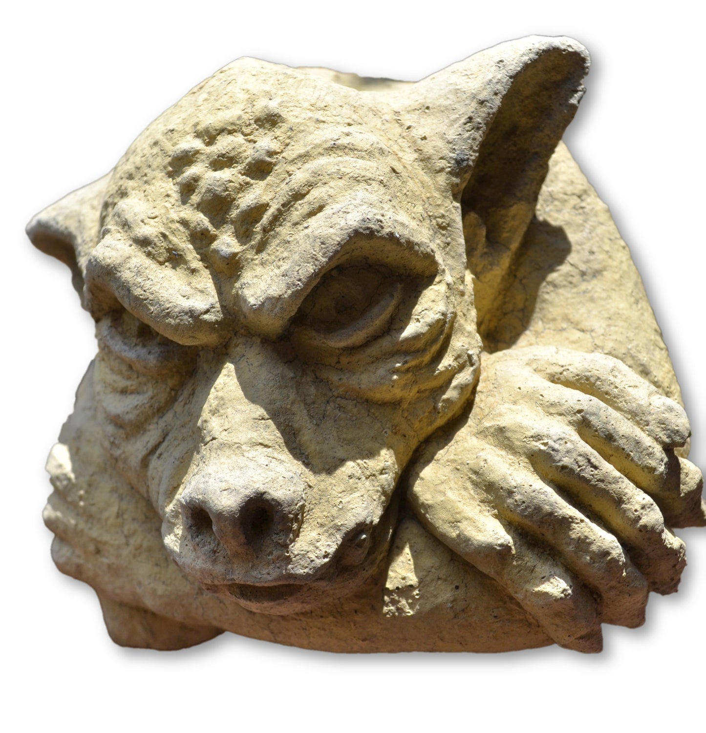 Gargoyle Face
