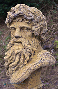 Hercules Roman Classical Bust