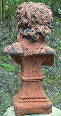 Hercules Roman Classical Bust