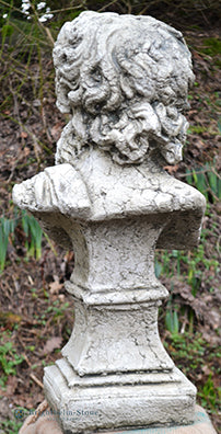 Hercules Roman Classical Bust