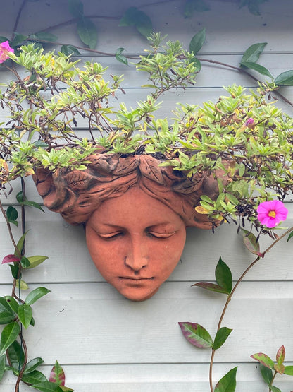 Melody Art Nouveau Planter