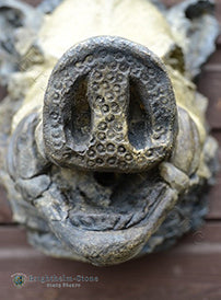 Large Boars Head Fountain Mask
