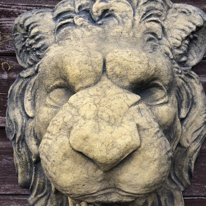 Lion Head Fountain Mask