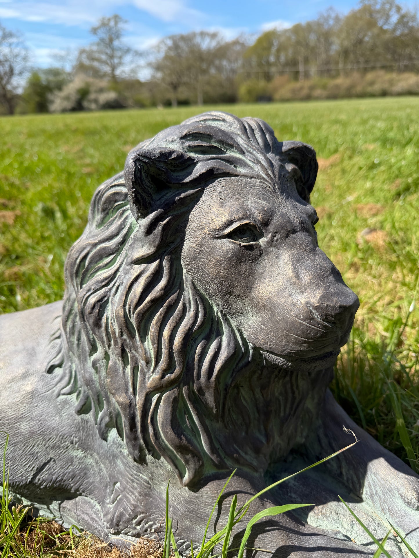 Majestic Lions Pair