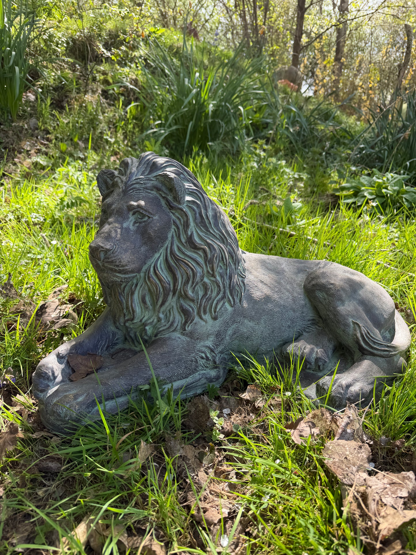 Majestic Lions Pair