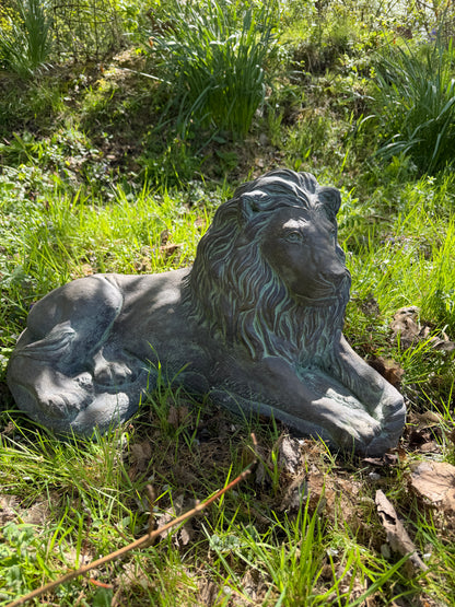 Majestic Lions Pair