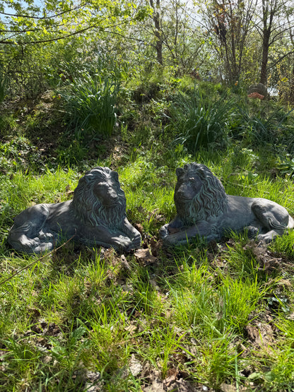 Majestic Lions Pair