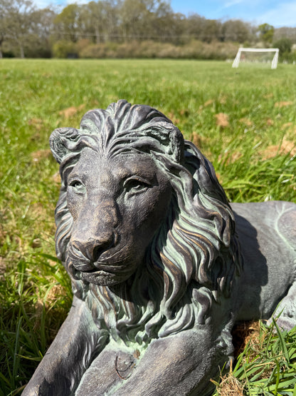 Majestic Lions Pair
