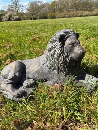Majestic Lions Pair