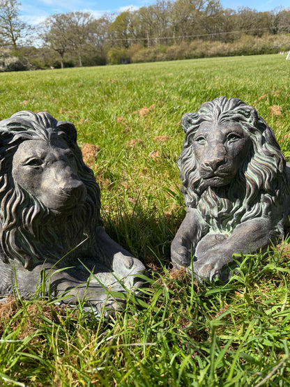 Majestic Lions Pair