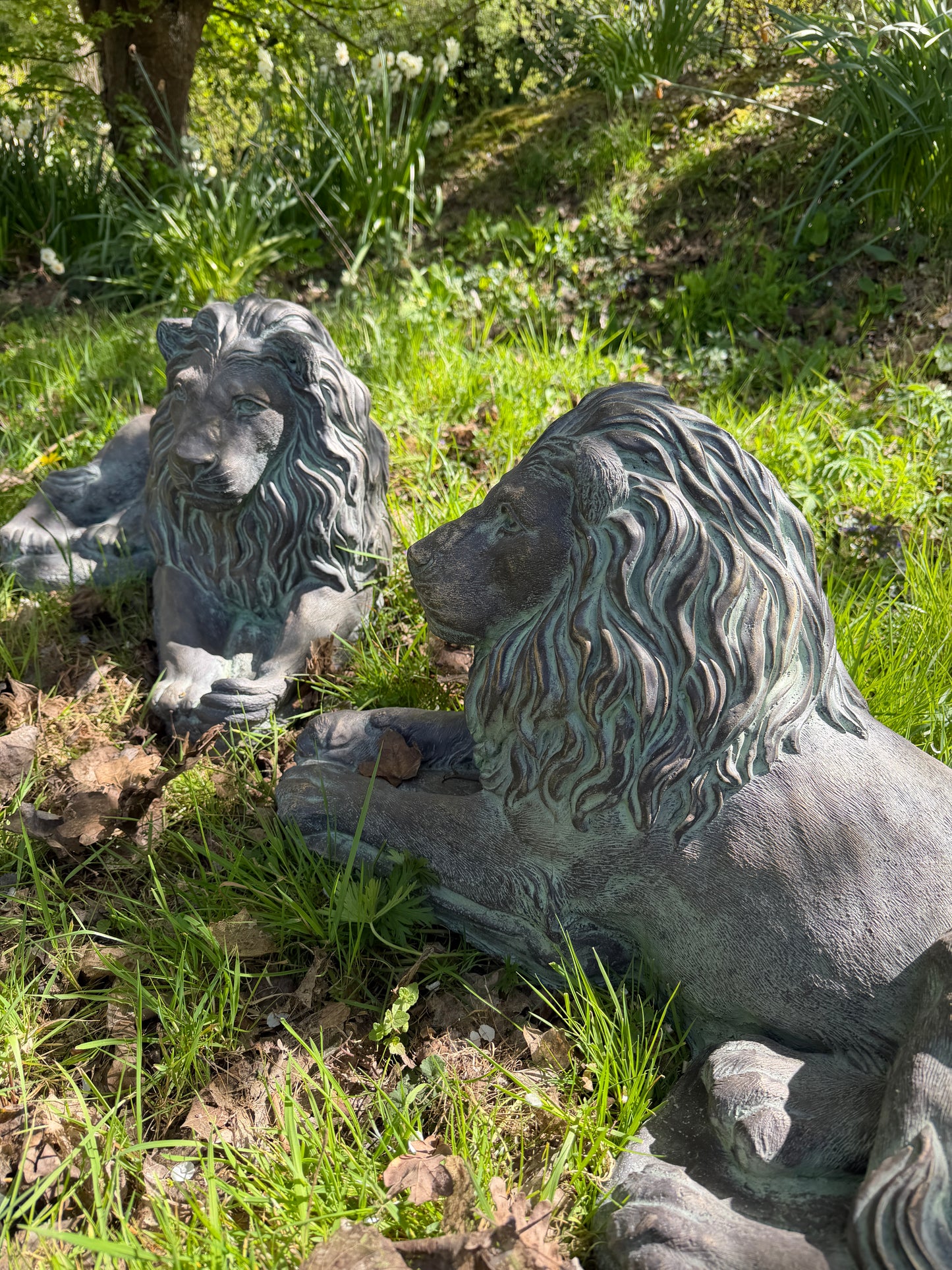 Majestic Lions Pair