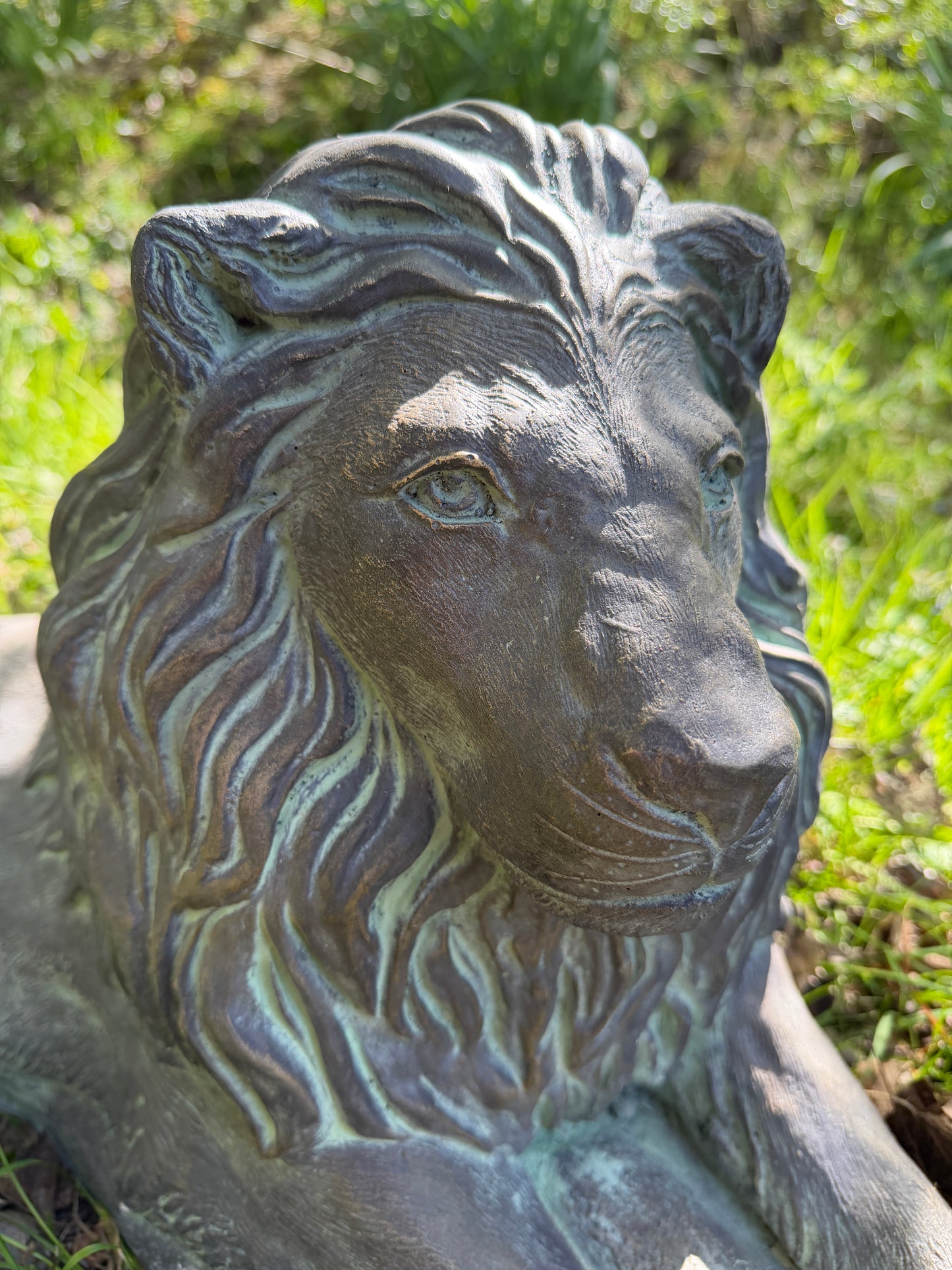 Majestic Lions Pair