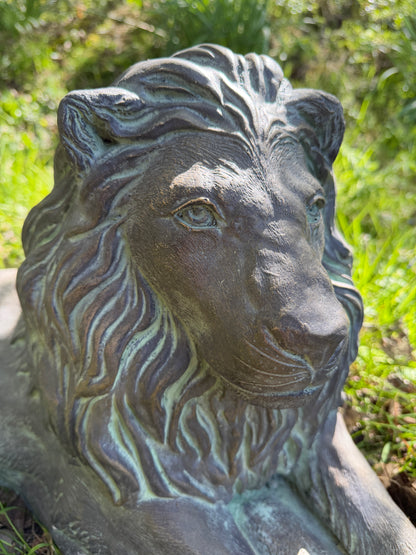 Majestic Lions Pair
