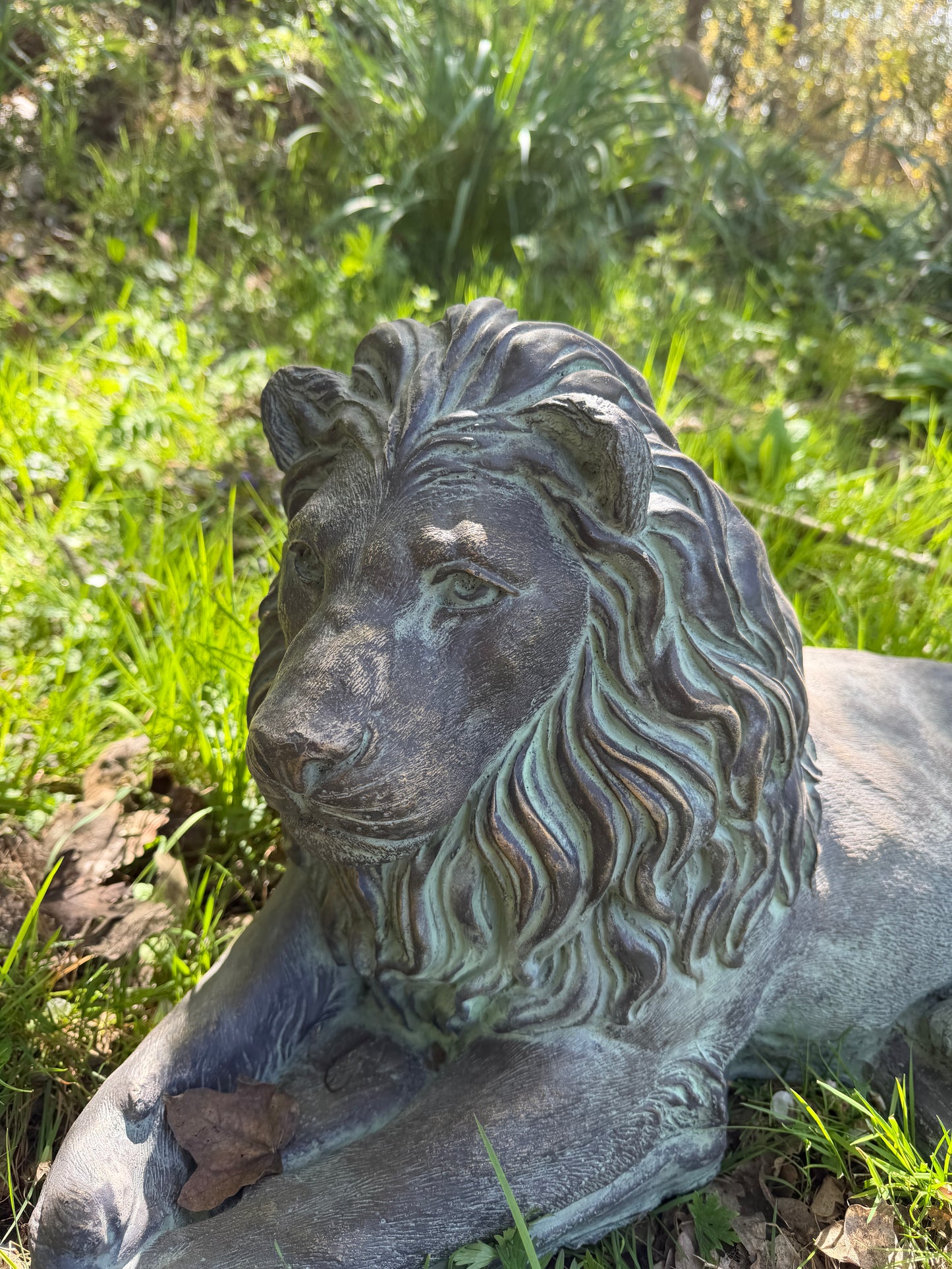 Majestic Lions Pair