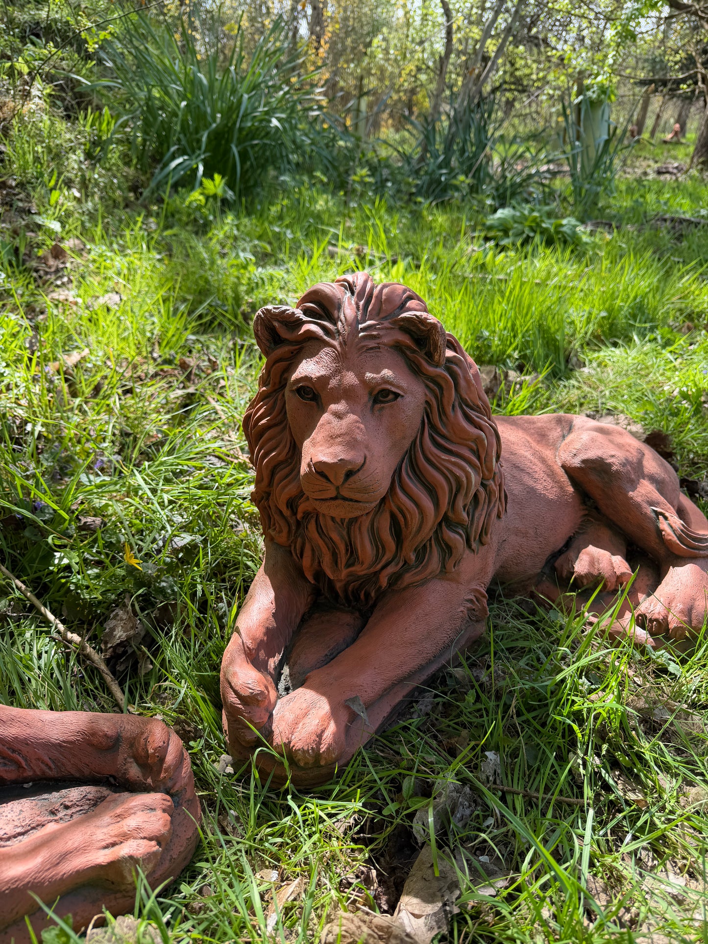 Majestic Lions Pair