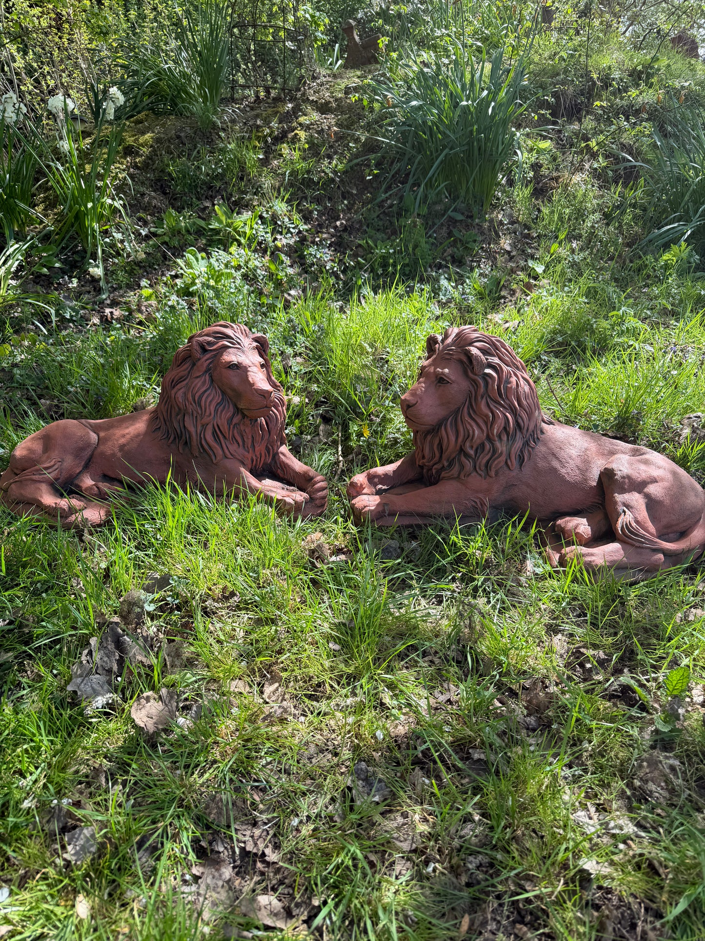 Majestic Lions Pair