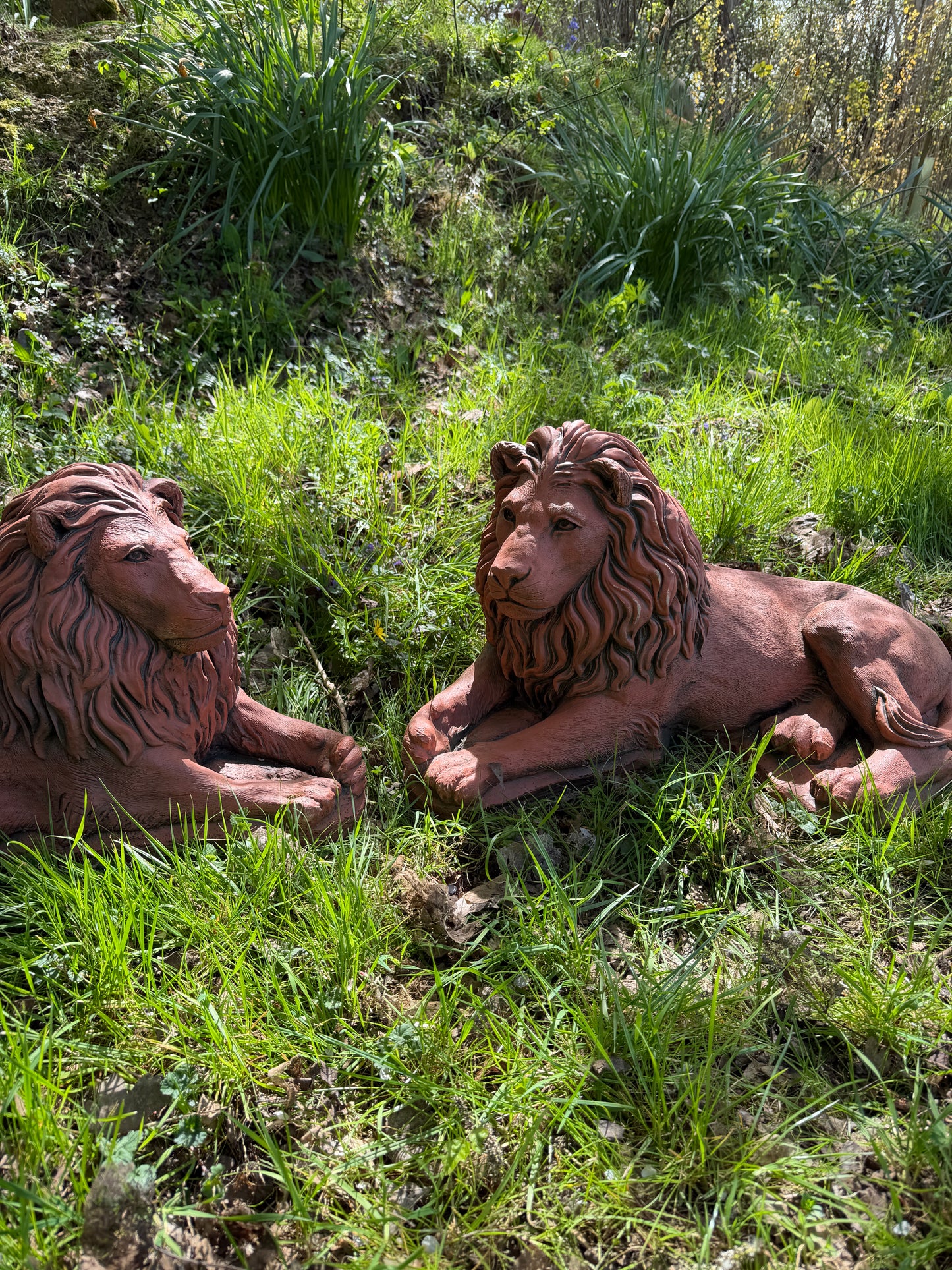 Majestic Lions Pair