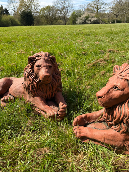 Majestic Lions Pair