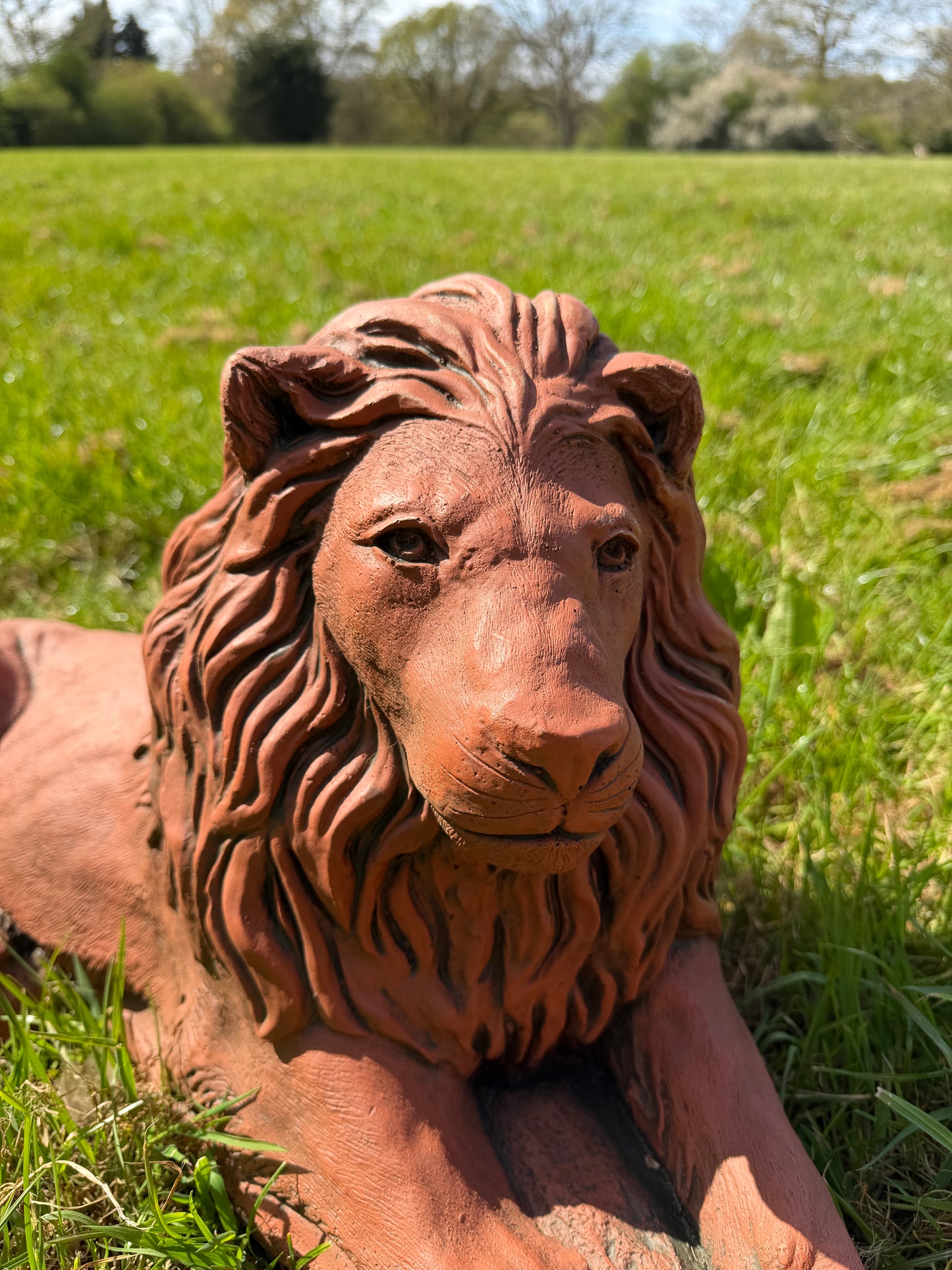Majestic Lions Pair