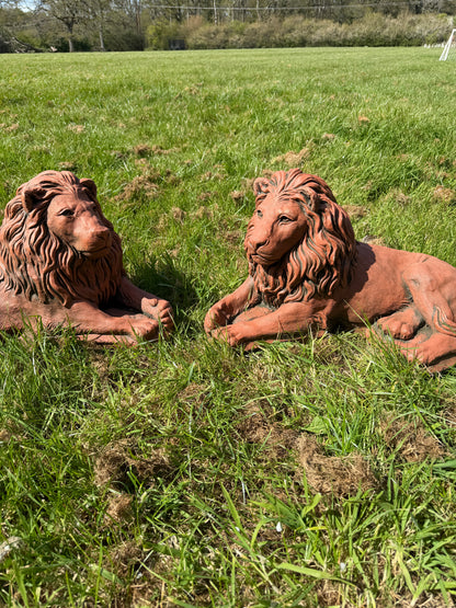 Majestic Lions Pair