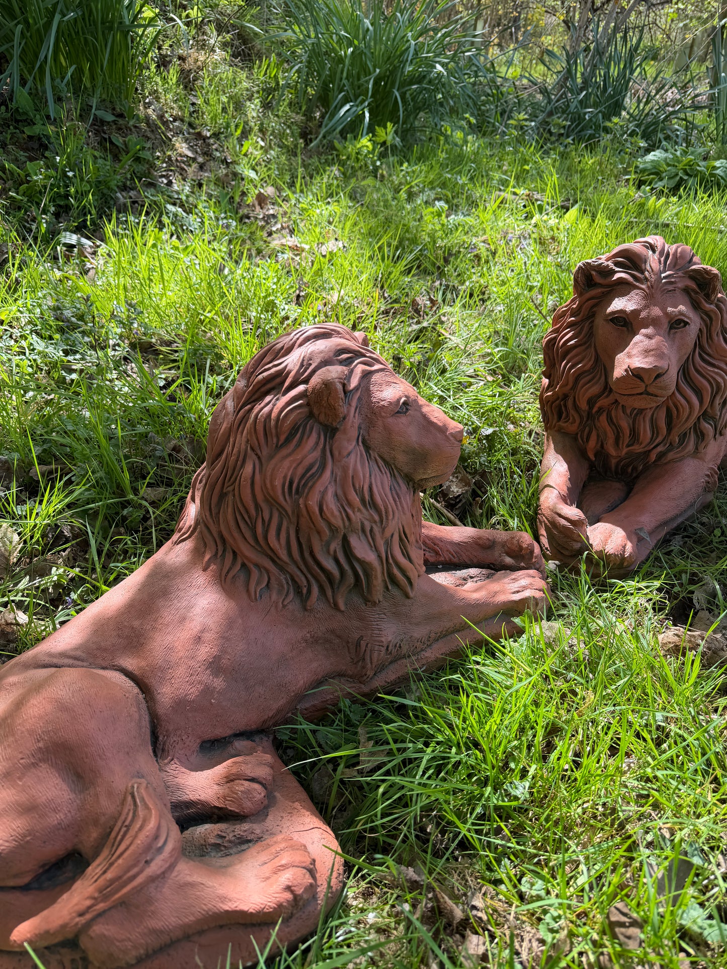 Majestic Lions Pair