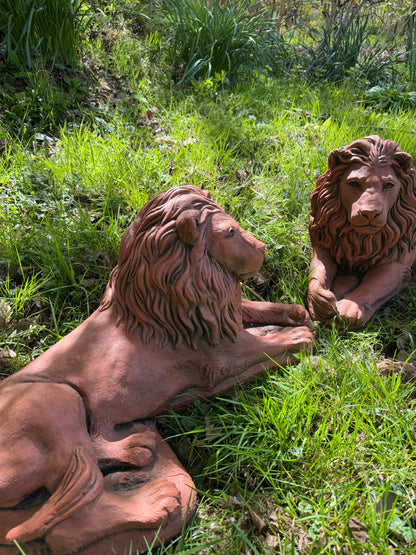 Majestic Lions Pair