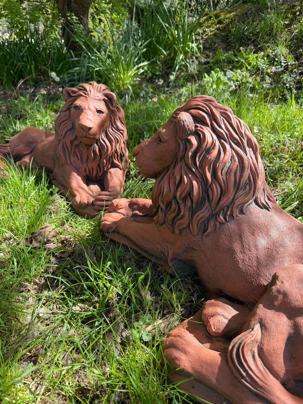 Majestic Lions Pair