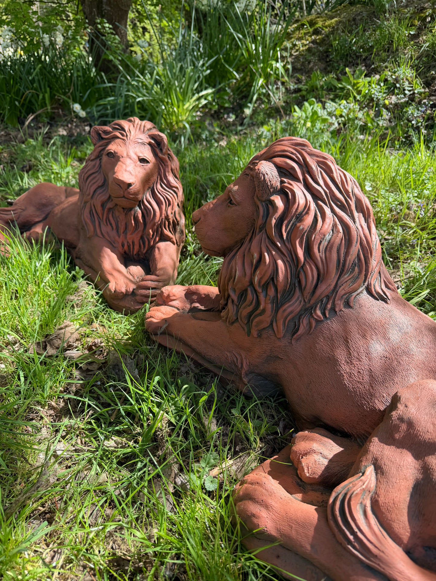 Majestic Lions Pair
